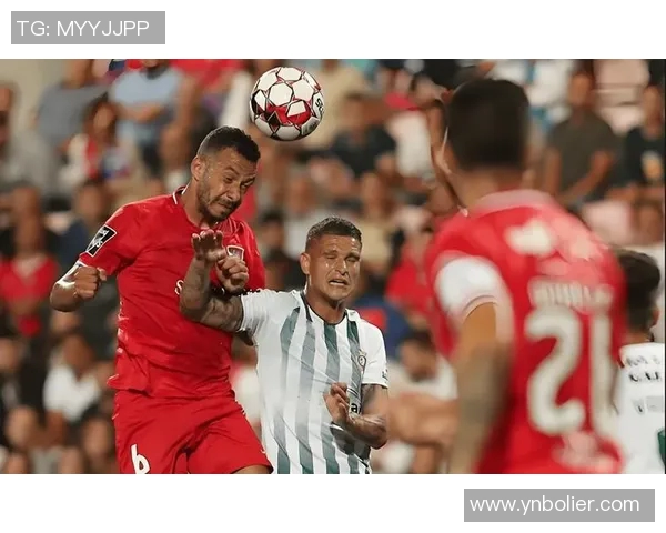 本菲卡与阿罗卡激战正酣赛季精彩比分揭晓与分析