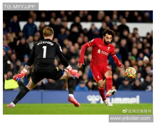 2018年布莱顿对阵利物浦比赛推荐及精彩分析