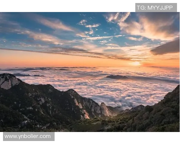 探索摩尔特里的历史与文化魅力，揭示这座城市的独特风景与人文底蕴