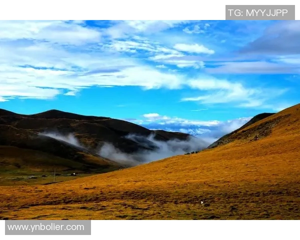 萨林杰的文学魅力与人生哲学探讨：从孤独到自我救赎的心灵旅程