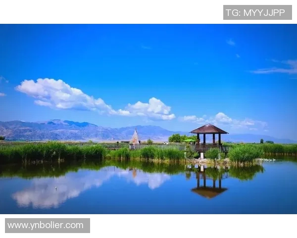 探索阿拉巴的魅力与文化深度体验之旅，感受独特风情与人文底蕴