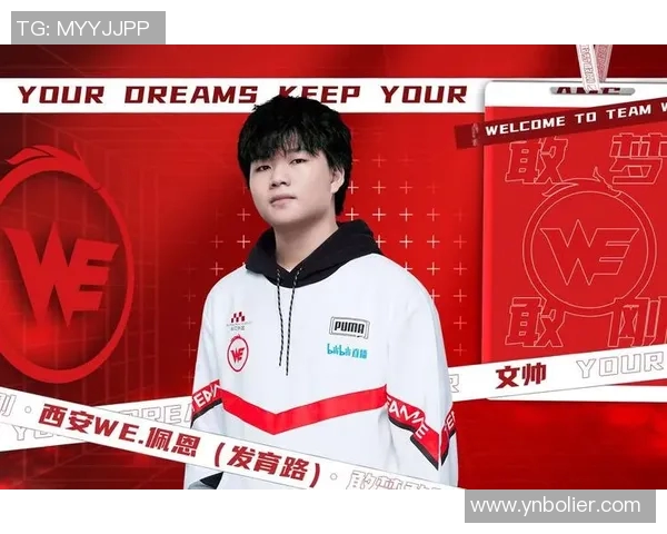 王者荣耀深度解析WE战队转型之路与未来发展方向