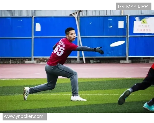 从零基础到高手飞盘配合技巧与实战攻略全解析