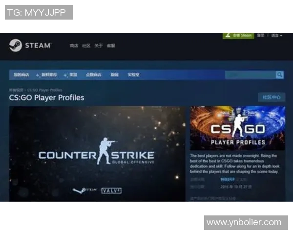 深入探讨杨秀英的成功经验与CSGO的崛起之路